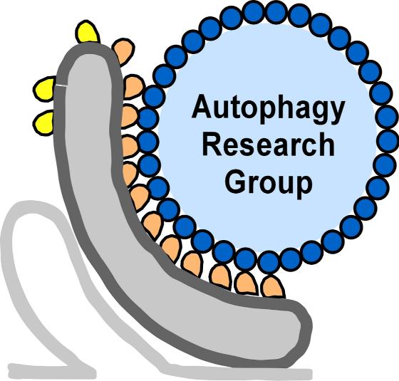 Group logo v2.jpg